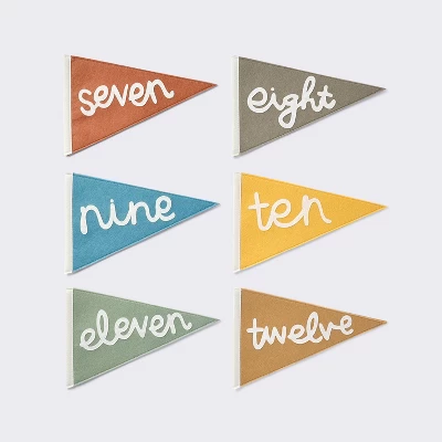 Milestone Felt Pennants - Multi Color - Cloud Island™ 5 Milestone Felt Pennants - Multi Color - Cloud Island™ - Image 3