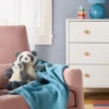 Plush Animal With Mini Plush - Panda - Cloud Island™ 1 Plush Animal With Mini Plush - Panda - Cloud Island™ -Target GUEST 9b6b8263 e3e0 4779 bae3 a1f781f159df