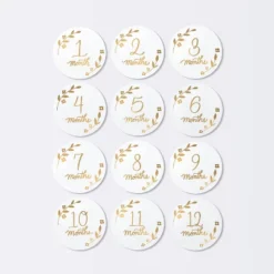 Round Monthly Milestone Cards - Luxe White And Gold - Cloud Island™ 5 Round Monthly Milestone Cards - Luxe White And Gold - Cloud Island™ -Target GUEST cabaa398 da67 447d bcaf 2787a2f2ac4a