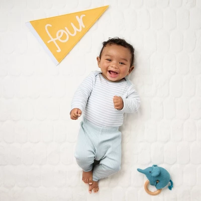 Milestone Felt Pennants - Multi Color - Cloud Island™ 3 Milestone Felt Pennants - Multi Color - Cloud Island™